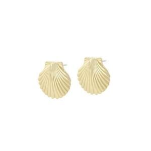 Seashell Earrings